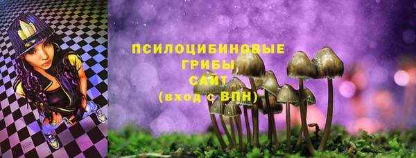 ешки Богородицк