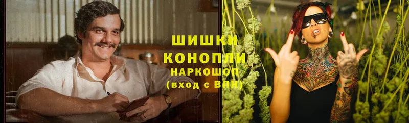 Бошки марихуана THC 21%  дарнет шоп  Каменск-Шахтинский 